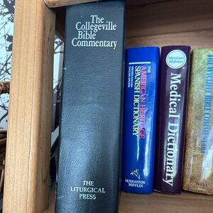 Collegeville Bible Commentary